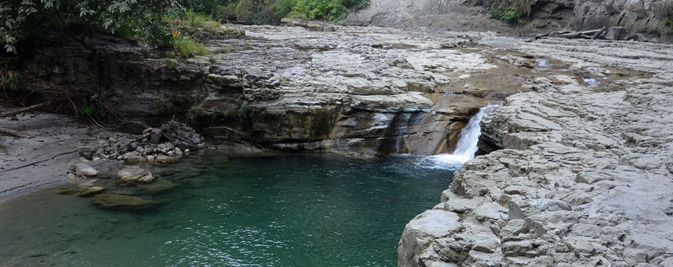 valmiki tiger reserve tour