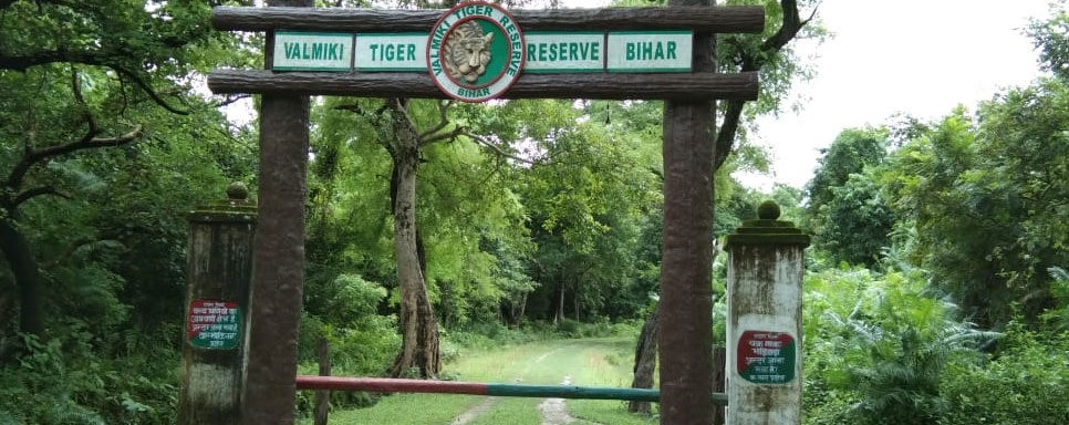 valmiki wild tour